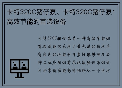 卡特320C猪仔泵、卡特320C猪仔泵：高效节能的首选设备